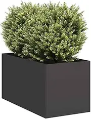 Raised Garden Bed, Elevated Planter Box Plant Container Black 40x80x40 cm Cold-Rolled Steel