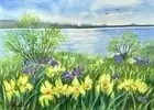 Original Watercolor 12’’x16’’ irises bloom yellow flowers spring trees river