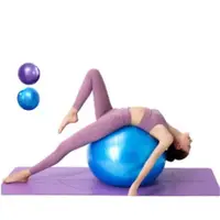 在飛比找蝦皮購物優惠-Yoga Ball Anti Burst Balance B