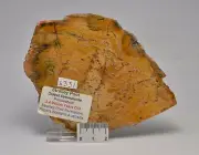 MICROBIAL MAT, STROMATOLITE STRELLEY POOL SLICE Australia S331