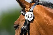 EKKIA 904163 904163 Equestrian Equipment COMP.Numbers Set 3DIG.RND/PCE