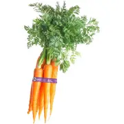 Macro Organic Carrot Dutch Bunch each
