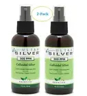 2- Pack Ultra Silver 4 oz Fine Mist Spray - Silver
