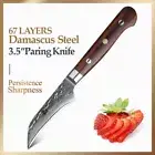 Full Tang Paring Knife Hammered Damascus Steel Wood Handle Chef Peeling Slicing