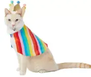 Cat And/or Dog You Are Loved® Pride Rainbow Striped Cape & Crown LGBTQ+ M/L