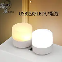 在飛比找樂天市場購物網優惠-生活家USB迷你LED小燈泡2入【緣屋百貨】天天出貨 USB