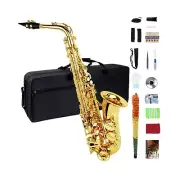 Eb Alto Saxophone, Beginner Saxophone, Alto Sax, Saxophone for Beginners, Stu...