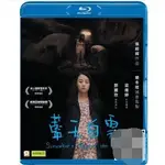 BD藍光電影 藍天白雲 (2017) 鄧麗欣/梁雍婷 高清修復版 粵國英語混合發音 中文繁體字幕