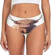 [RPLIFE] Cute Highland Cow Women's Brief Underwear, Comfort Flex Briefs, Stretch Fit Underwear, Plus Size Ladies Brief, Cute Highland Cow 1, XX-Large