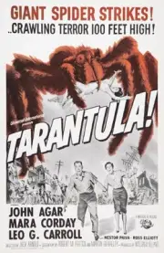 Tarantula poster John Agar Mara Corday 1955 Old Film Movie Photo 3
