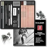 KALOUR PDAS 22pcs Charcoal Drawing Set, Professional Art Supplies, Black & White Charcoal Pencils for Drawing, Sketching, Shading, Blending, Artist Pencils for Beginners & Pro Artists