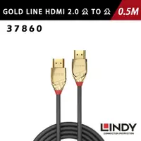 在飛比找宇星科技優惠-LINDY 林帝 GOLD LINE HDMI 2.0(TY