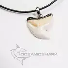 Tiger shark tooth silver cap slick design fishing hunting s24