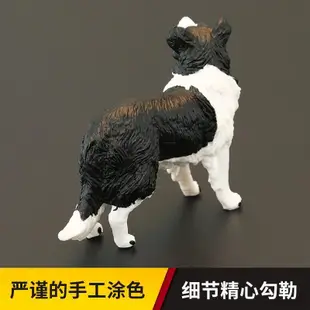 精選/*實心兒童仿真動物玩具動物模型邊境牧羊犬 柯利 狗狗認知禮品擺 動物擺件 益智