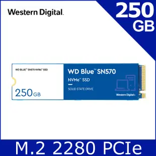 WD 藍標 SN570 250GB 500GB 1TB SSD PCIe NVMe 固態硬碟 250G 500G 1T