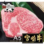 【台灣誠】日本宮崎牛A5和牛厚切沙朗(300GX2片)