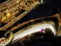 在飛比找Yahoo!奇摩拍賣優惠-【現代樂器】Yamaha YTS-82Z Tenor Sax