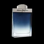 Salvatore Ferragamo Subtil Pour Homme EDT, 100ml