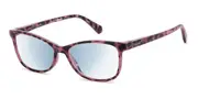 Polaroid PLD 0032/R/BB Readers Blue-Light Block HT8/G6 Men's Glasses Tortoiseshell Size +2.00 - Private Health Rebate - Blue Light Block Available