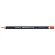 Derwent Procolour Pencil Autumn Leaf