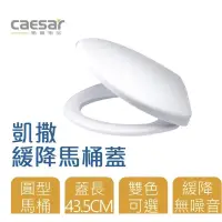 在飛比找蝦皮購物優惠-高評價 價格保證 Caesar 凱撒衛浴 M225 取代 M