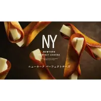 在飛比找蝦皮購物優惠-🌈現貨+預購🇯🇵日本New York Perfect Che