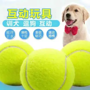 狗狗玩具彈力網球 大中小型犬啃咬耐咬玩具 橡膠訓練球寵物用品