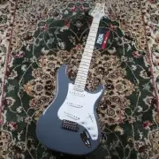 Paul Reed Smith(PRS) SE Silver Sky Maple Overland Gray