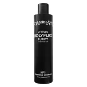 HOLYPLEX NO.1 - Purify shampoo - 250ml