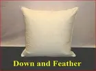 95% POLISH GOOSE DOWN 1 SCATTER INSERT CUSHION 60 X 60 CM 100% COTTON CASING