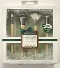 Ecotools Radiant Complexion Beauty Kit Set Of 4 Makeup Brushes New