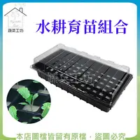 在飛比找PChome24h購物優惠-【蔬菜工坊】水耕育苗組合(含加大型育苗(無孔)*3.透明上蓋