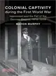 Colonial Captivity During the First World War ─ Internment and the Fall of the German Empire 1914-1919