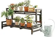 2 Tier Ladder Plant Stand, Heavy Duty Metal Plants Rack, Tall Corner Plant Stand Indoor Outdoor, Multifunctional Storage Rack Rustproof Plant Shelf for Patio Living Room Garden Balcony