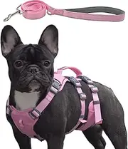 [Wuffley] Escape Proof Dog Harness and Leash Set, Lightweight Dog Harness with Lift and Assist Handle, No Pull Reflective Pet Vest for Small Medium Dogs, Ideal for Puppy Walking and Training (Pink, XS)