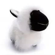 Sheep Plush, Black Face - Huacaya Alpaca - 20cm - Auskin