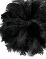 200 Feathers - 9-13" Black Ostrich Drab Wholesale Bulk Centerpiece Costume Craft
