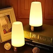 2pack Round Retro LED Night Light for Home,Small Lamp with Wireless PIR LED Motion Sensor Indoor/Outdoor,Battery Operated Lamp for Bedroom,Hallway,Kitchen…