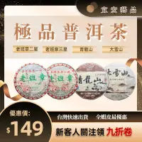 在飛比找蝦皮購物優惠-【宜美藝品】普洱茶 老普洱 老茶 老班章 大雪山 青龍山