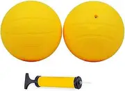 Aolowewin Outdoor Volleyballs for Spike Sport Game Kit Replacement Balls and Replacement Net