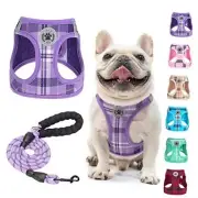 Small Dog Harness and Leash Set, Step in Medium(Chest Girth 16" - 18") Purple