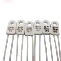 在飛比找蝦皮購物優惠-2pcs RH/Tf 125 度 15A 250V 溫度保險