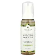 Tree To Tub, Soapberry Gentle Foaming Face Wash, For Dry, Sensitive Skin, Raw Unscented, 4 fl oz (120 ml)