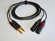 2 Channel XLR-TRS Loom - Canare MR202-2AT - Neutrik - Choose your length!