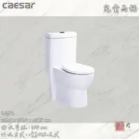 在飛比找蝦皮購物優惠-🔨 實體店面 可代客安裝 CAESAR 凱撒衛浴 兒童馬桶 