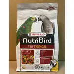 🅦✨ 比利時凡賽爾 P15 滋養丸 1KG 飼料 NUTRIBIRD VERSELE-LAGA