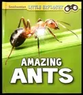 Ants Children's Book Learning Facts Education - New Little Explorers
