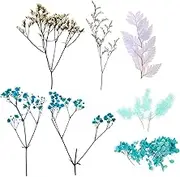 1 Set Dried Flower Material Package Flowers Artificial Dry Decor Epoxy Art Dried Materials Floral Hydrangea Fake Faux Peonies Mini Bouquets Products Home Supplies Blue