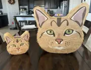 Tabby Kitty Cat | Small And Big Size Piñatas W/ Hats | Birthday Party Pinatas