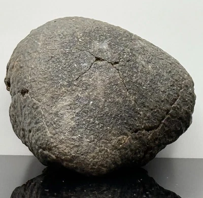 NWA XXX 64.92g Meteorite Fusion Crusted Oriented Stone Unclassified, Prob Type H